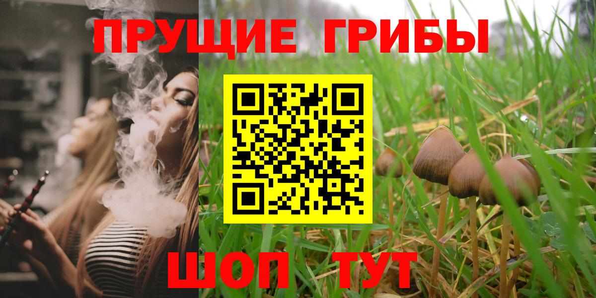 Галлюциногенные грибы MAGIC MUSHROOMS Холмск